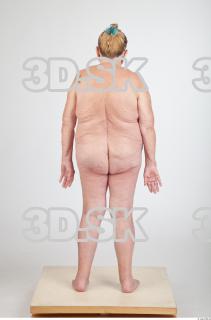 Body texture of Shelia 0027